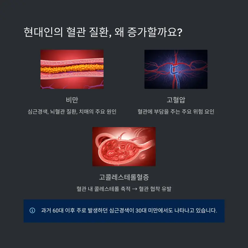 현대인의 혈관 질환 위험 인자 비만, 고혈압, 고콜레스테롤혈증 인포그래픽