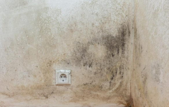 장마철, '그날'이 오기 전에 꼭 확인하세요! 침수·곰팡이·교통 지옥을 피하는 비밀 체크리스트