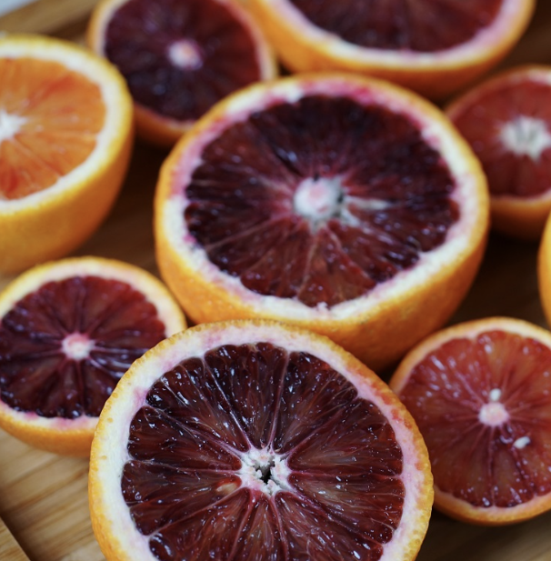 모로오렌지 이미지