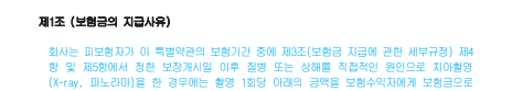 보험금 보장내역