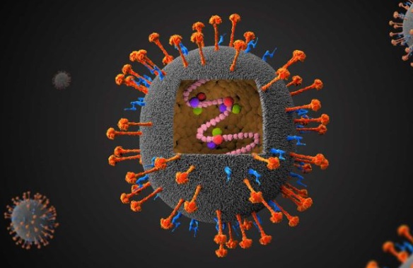 니파 바이러스 치료제