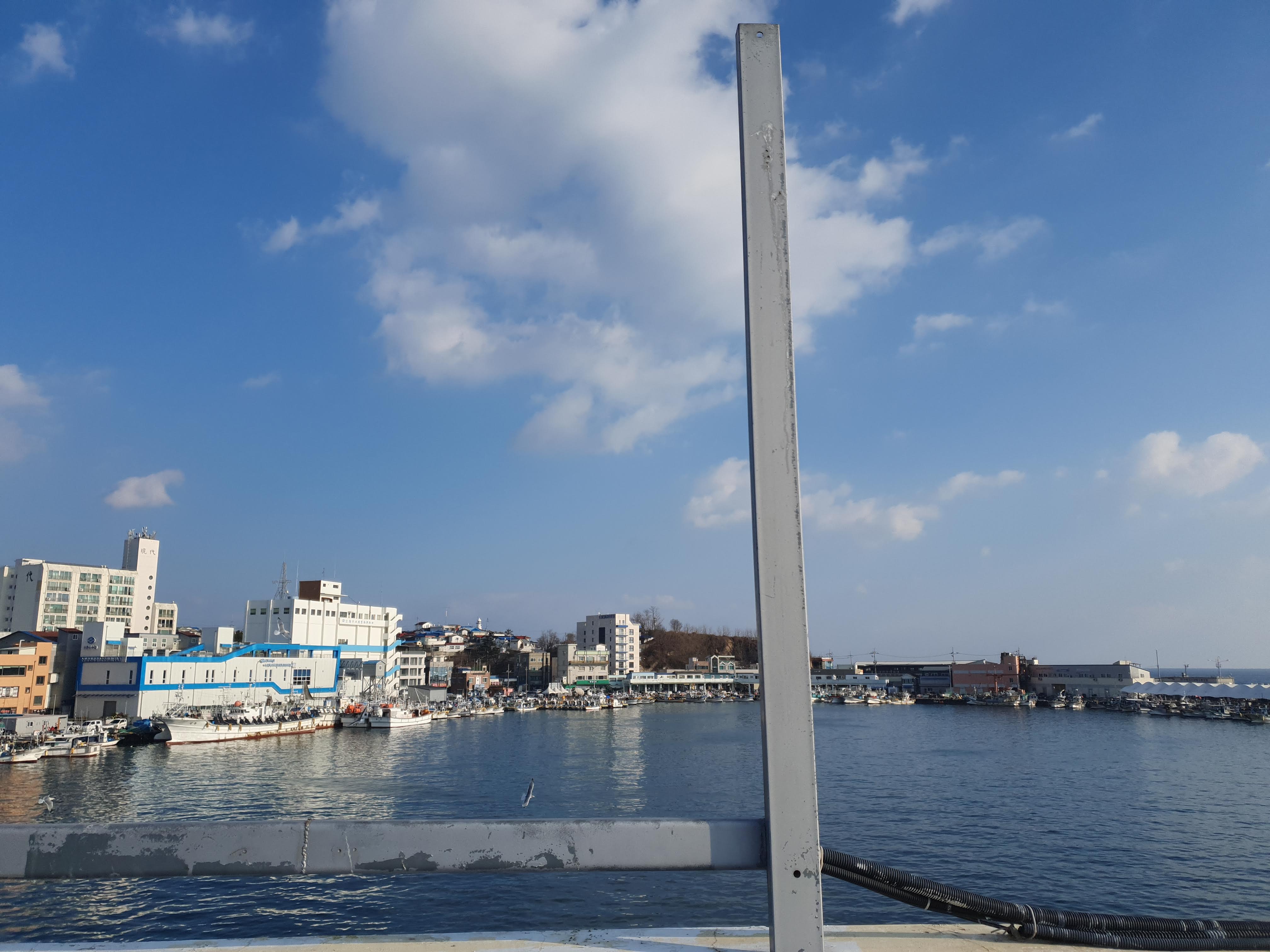 정동진 카페