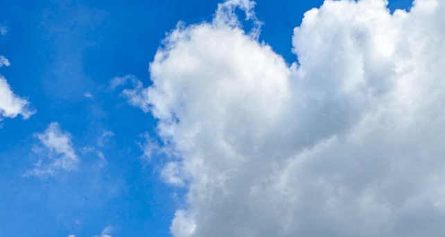 임업&middot;산림 공익직불금