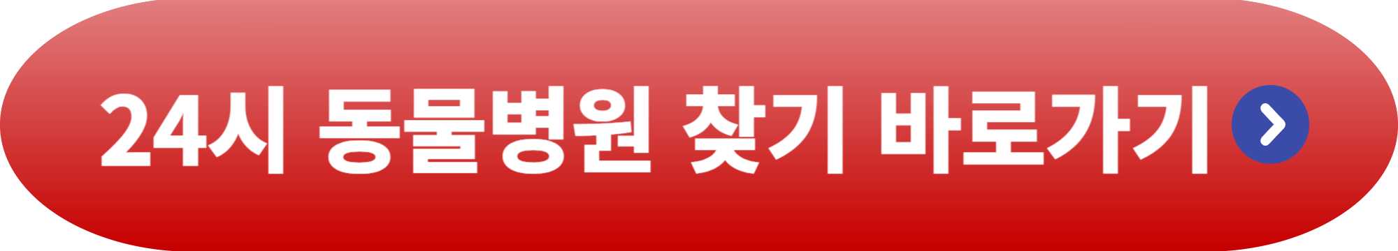 24시 동물병원