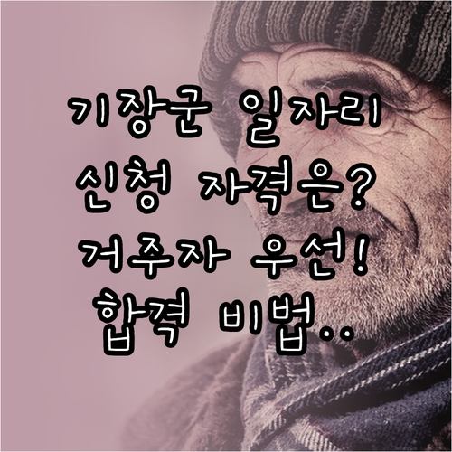 기장군 시니어클럽 일자리 신청 자격과..