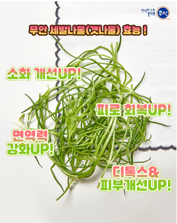 세발나물의 효능