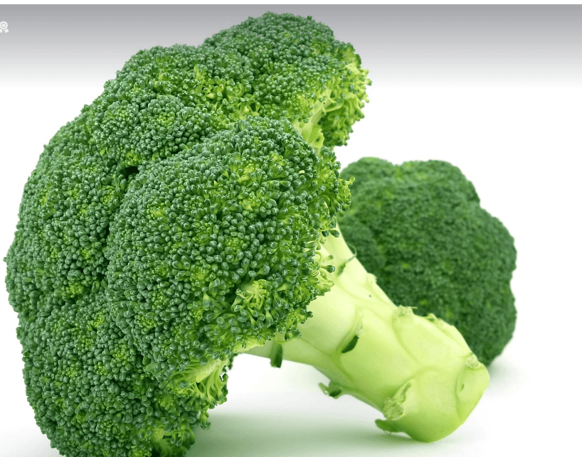 무릎관절에 좋은 음식