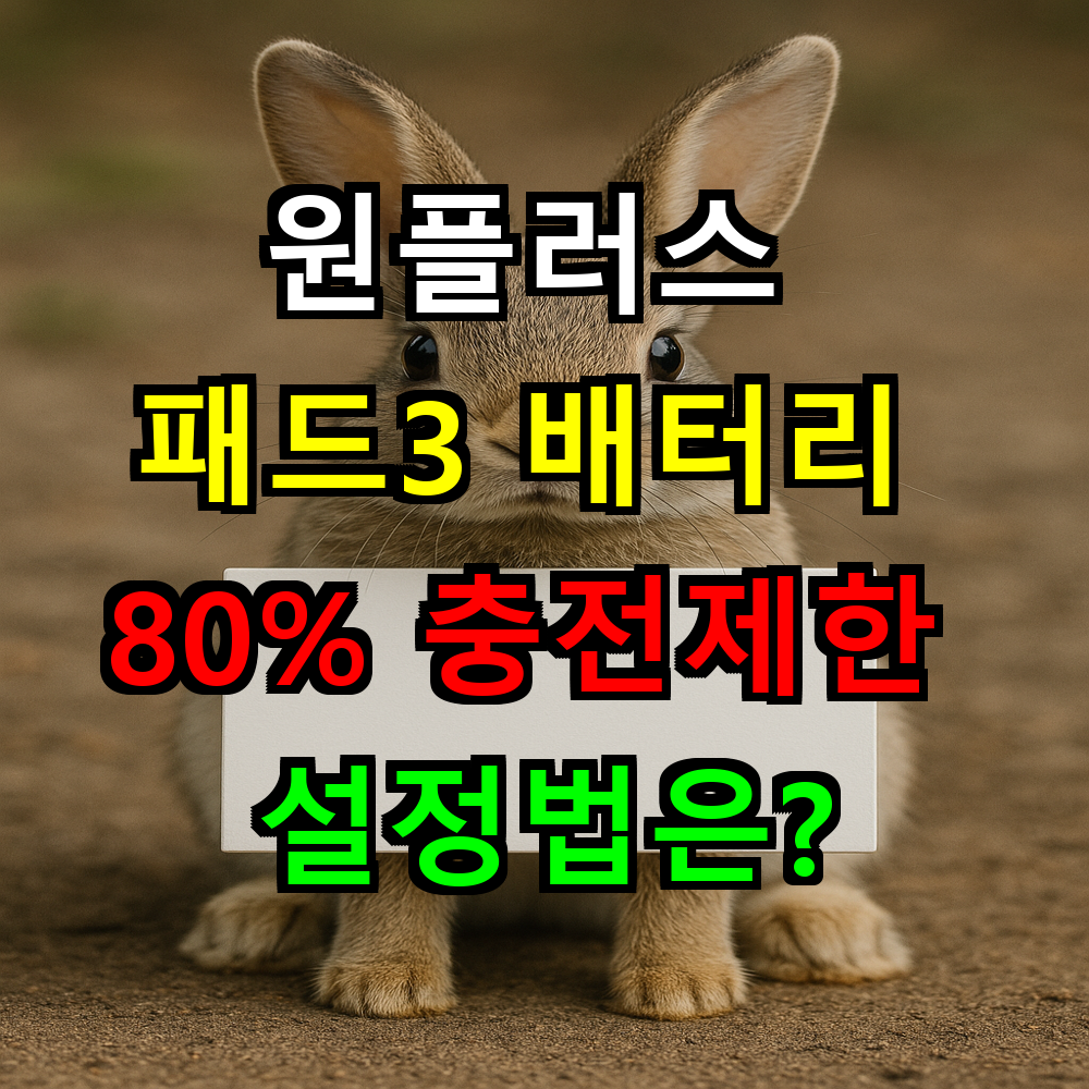 원플러스 패드3 배터리 80% 충전제한 설정법은?