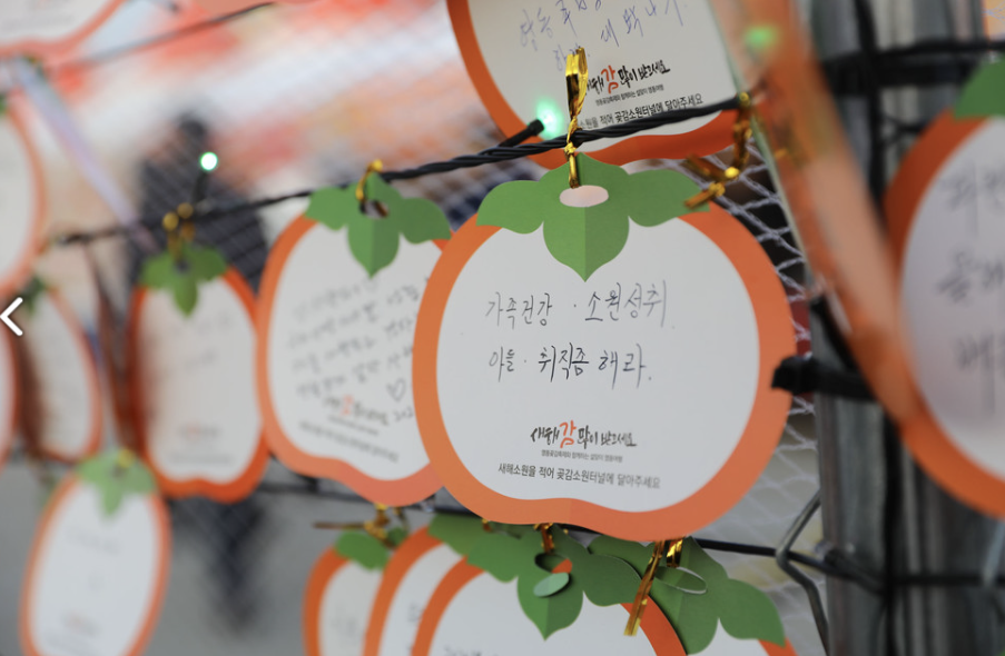 체험행사