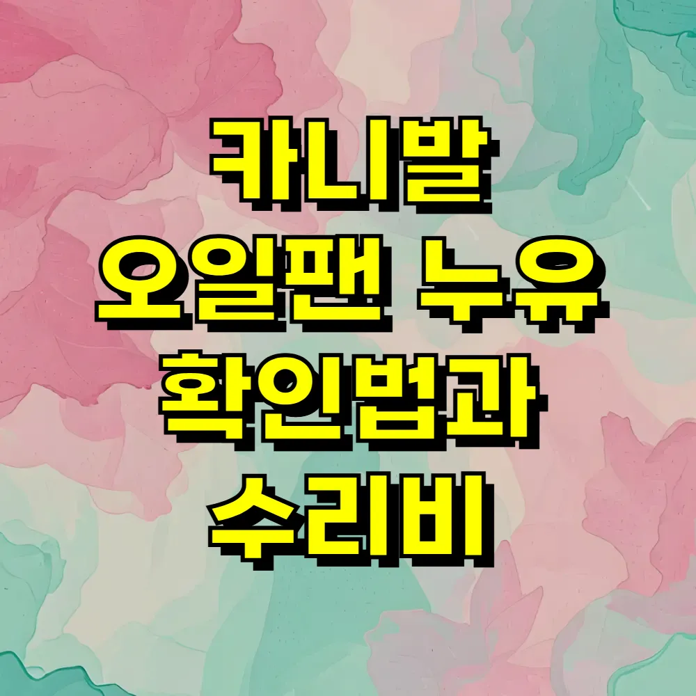 카니발 오일팬 누유 확인법과 수리비