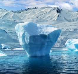겨울철 무우보관법
