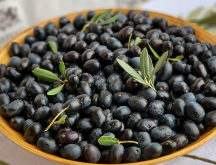 우리의 건강과 환경을 위한 제철 음식과 식물성 음식