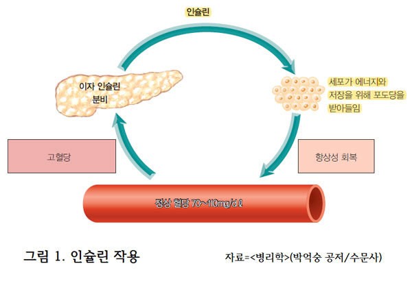 당뇨 초기증상 병원