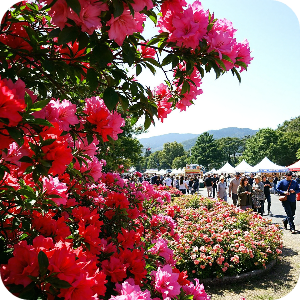 철쭉축제 이미지