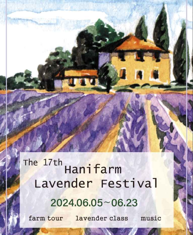 2024 하늬팜 라벤더축제 기간 입장료 가는길 주차장