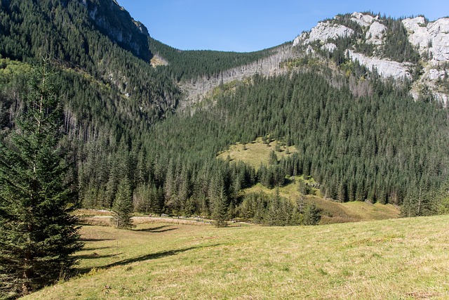 호주 엘리스스프링스 계곡 산