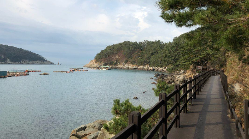 2025 여수 여행 완벽 가이드 - 숨은 명소부터 맛집까지!