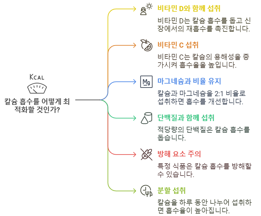 구연산 칼슘의 흡수율을 높이기 위한 방법