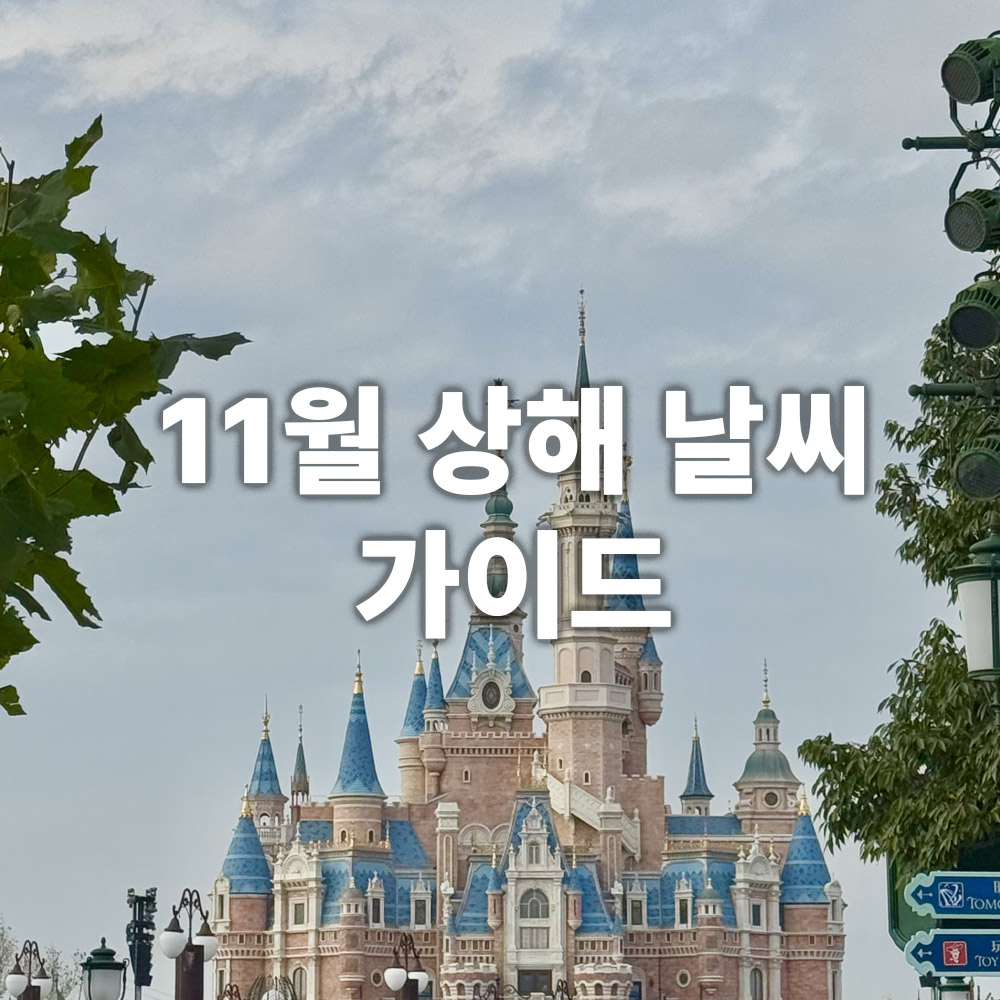 상해 날씨 가이드 11월