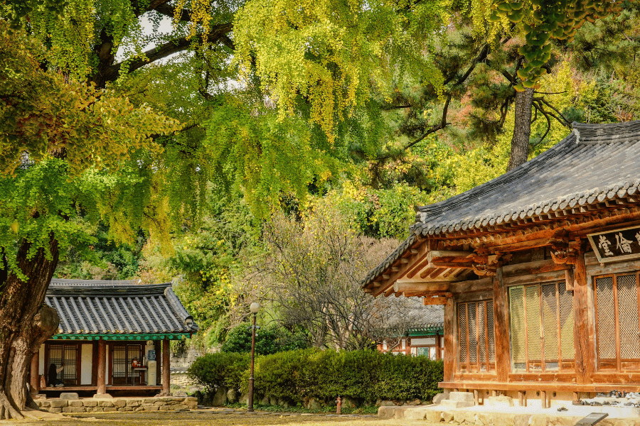 서원&middot;향교 여행 - 조용한 유교 문화 공간에서의 치유