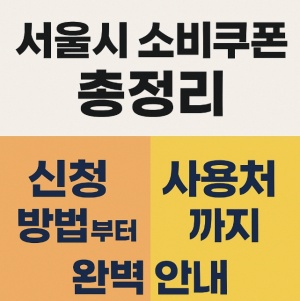 민생회복 소비쿠폰 서울