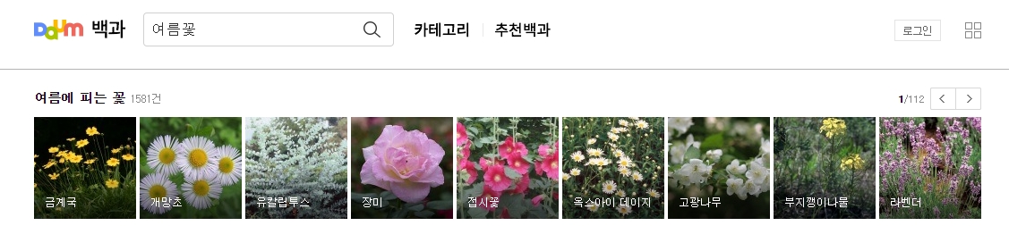 여름꽃 검색 결과 목록 화면