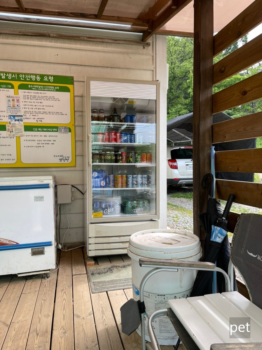 경기-파주-느티나무-그늘아래-캠핑장-예약-방법-애견-동반-가격-주소-시간-후기