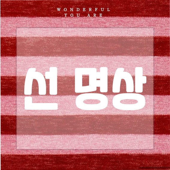 선명상 완벽 가이드: 수행법과 템플스테이 활용법