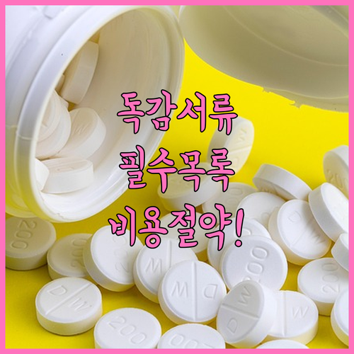 독감 확진 시 필요한 서류 종류와 발..