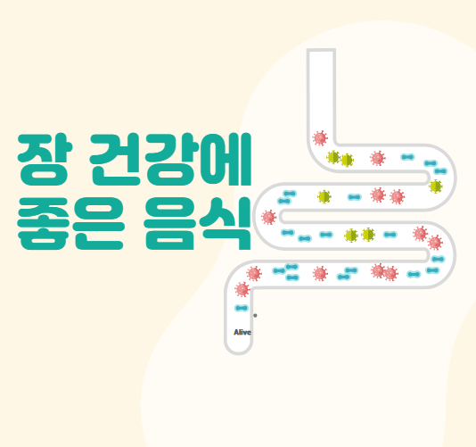 장 건강에 좋은 음식
