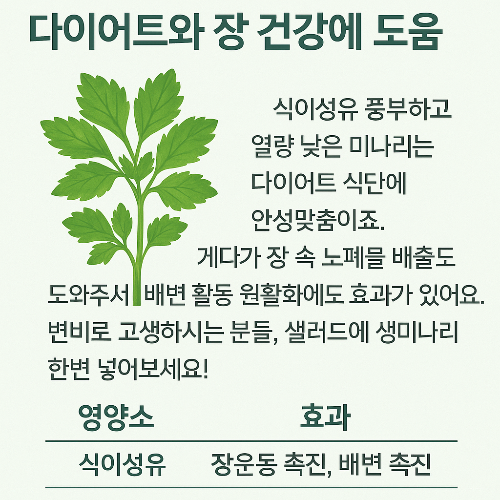 다이어트와 장 건강에 도움