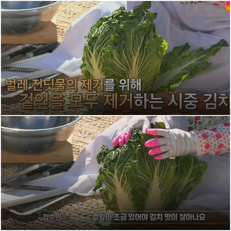 김장김치