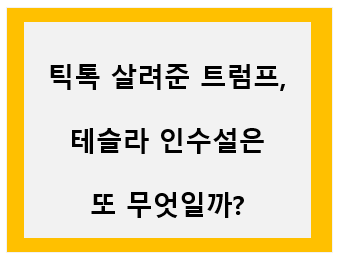 틱톡 살려준 트럼프, 테슬라 인수설은 또 무엇인가? text 이미지