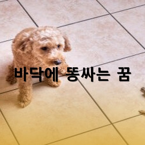 강아지가-바닥에-똥-두덩이를-쌓놓고-미안해하는-모습