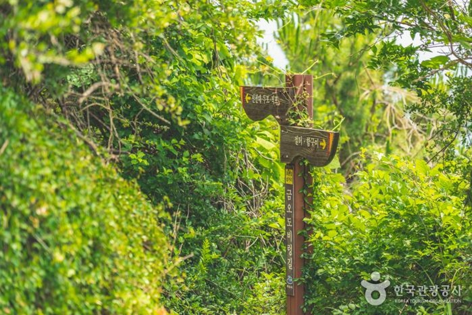 여수 가볼만한곳 베스트10