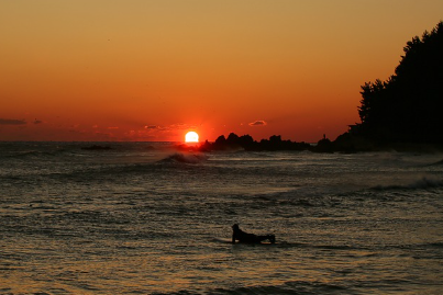 2025년 신년운세 무료보기