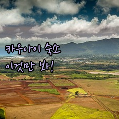 카우아이 섬 숙소 결정 가이드 럭셔리..