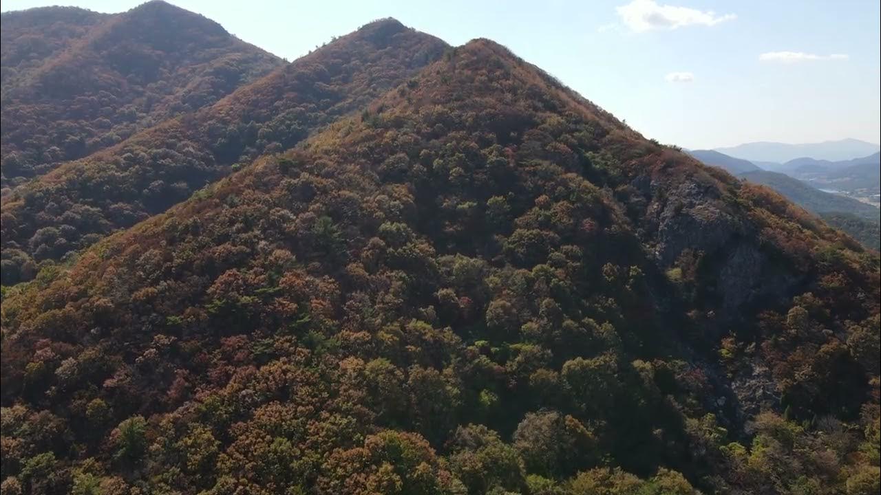 요즘 인기 단풍 캠핑장 관련 사진