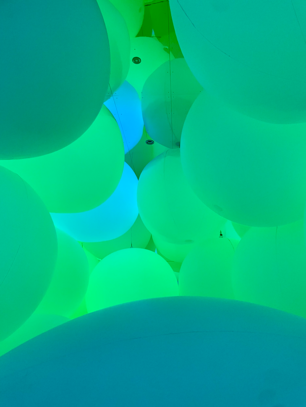 일본 도쿄 팀랩플래닛 관람-평면화하는 세 가지 색과 모호한 아홉 가지 색