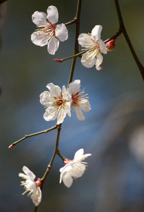 지친 아이의 모습