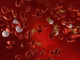 혈소판수치가 낮으면 일어나는 증상