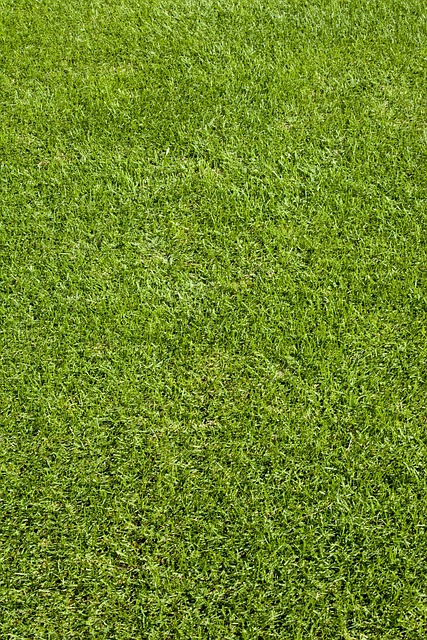 여주파크골프장