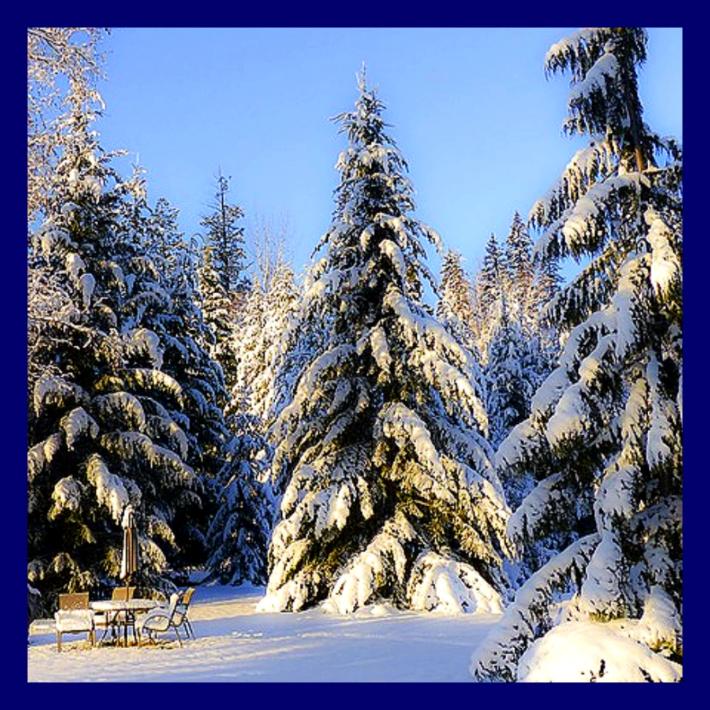 경기도-폭설-피해-재난지원금-대상자-확인