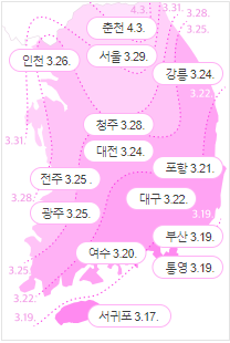 벚꽃 개화시기