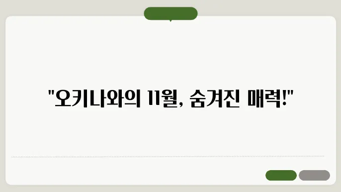 오키나와 11월 날씨