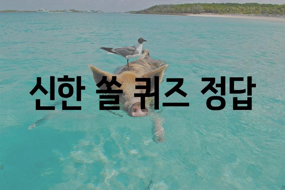 샘플 (1)