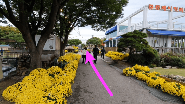 동물원으로-가는길