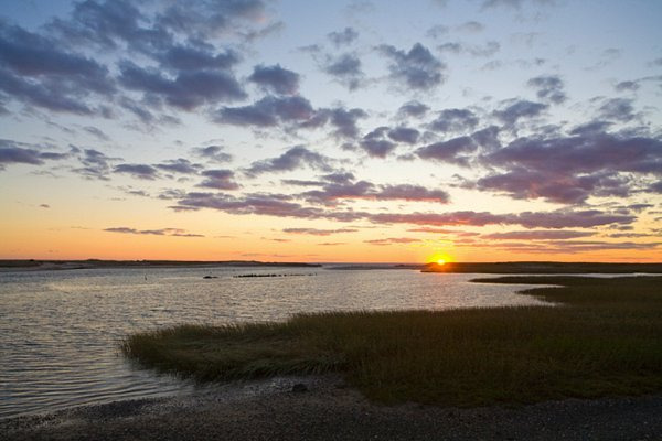 케이프 코드(Cape Cod)