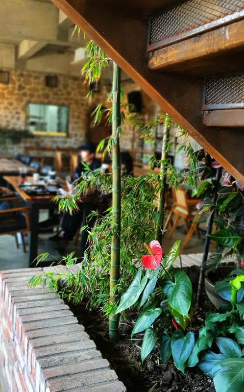 대너리스-카페-대나무