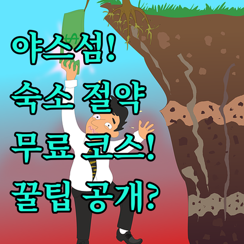 아부다비 야스섬 가성비 여행 핵심 무..